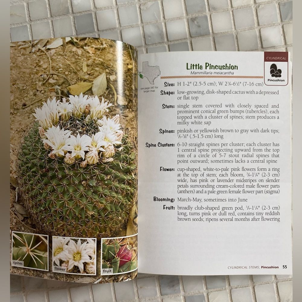 Cactus of Texas Field Guide - Picture 6 of 6